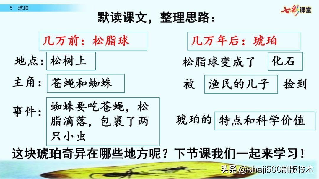 四年级语文下册第5课琥珀知识点,语文书四年级下册琥珀预习分段