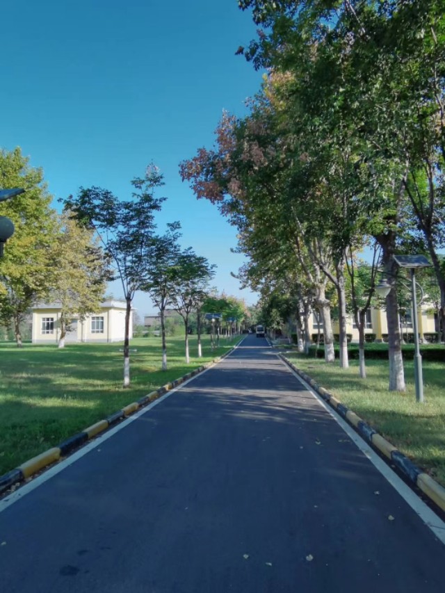 山地车城市骑行速度,正常自行车骑行速度