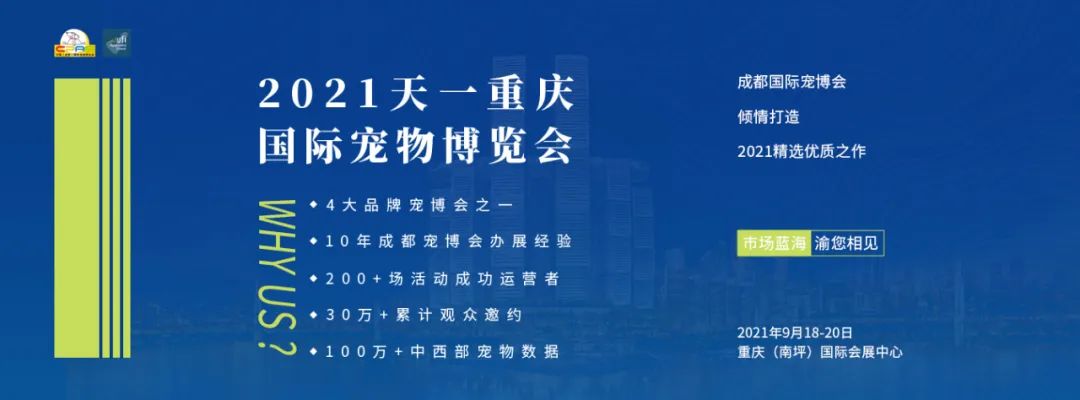 派多格猫罐头,品牌新品动向