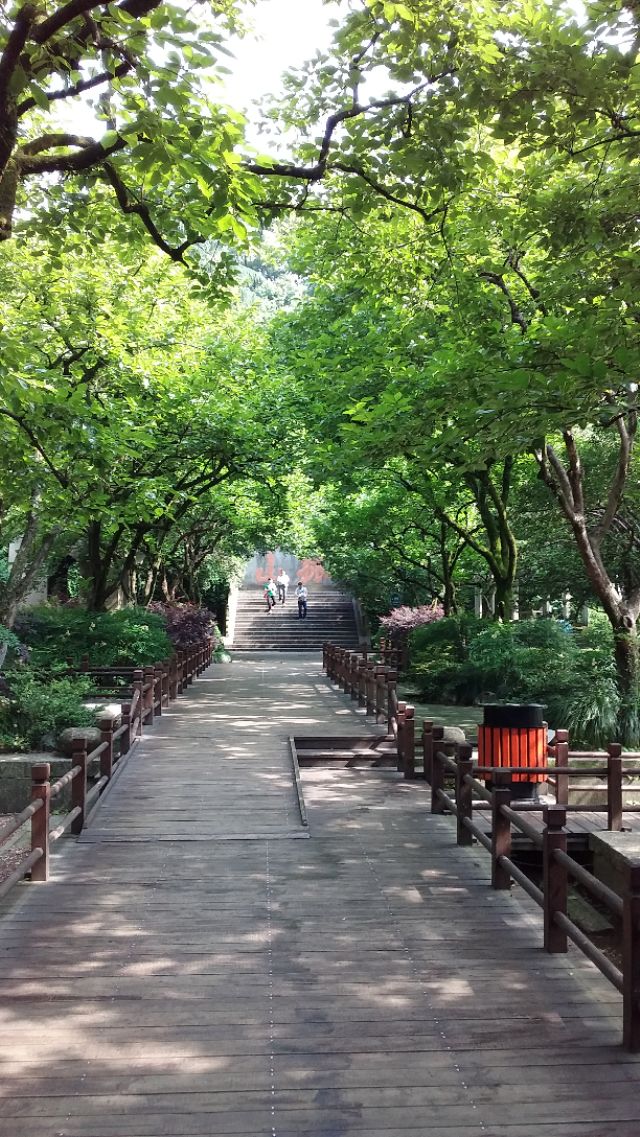 第二批西湖风景名胜区,杭州西湖的风景美如画