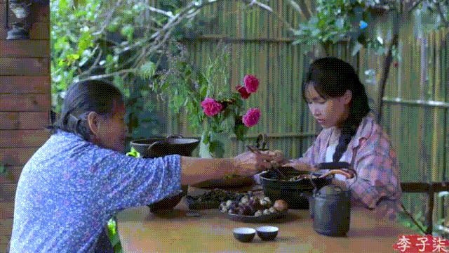 李子柒视频转场技巧,李子柒拍摄视频技巧