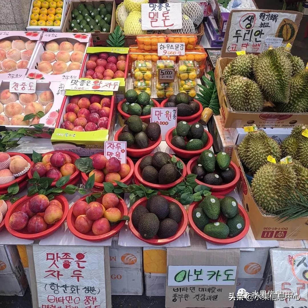 韩国水果批发市场进货渠道,韩国首尔最大的水果批发市场