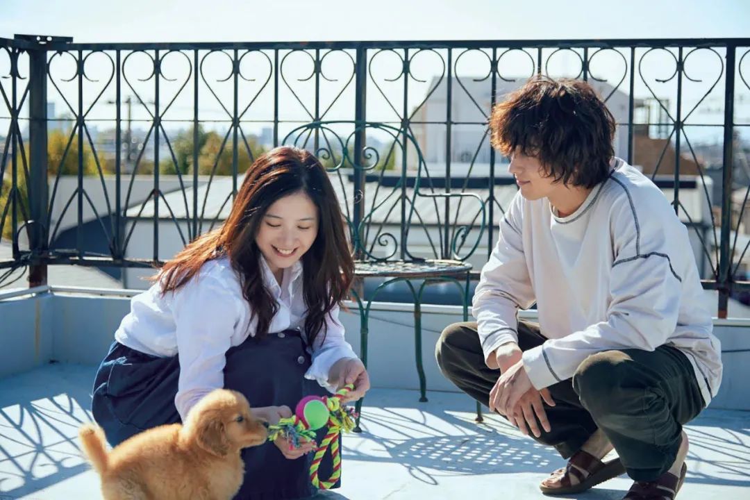 2020涓棩闊╁ソ鐪嬬殑鐢靛奖,鏃ラ煩2020涓婃槧鐢靛奖