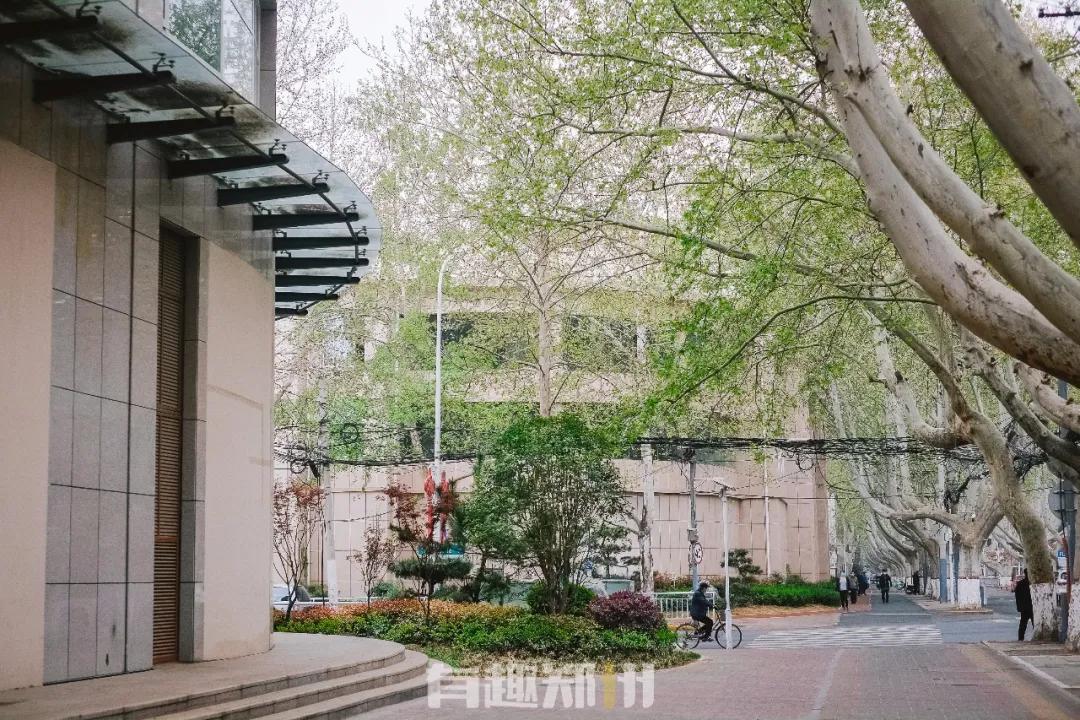 春雨落在叶子上,春雨落在树叶上的详细描写