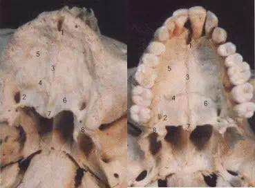 咬合重建的程序,咬合重建做嵌体