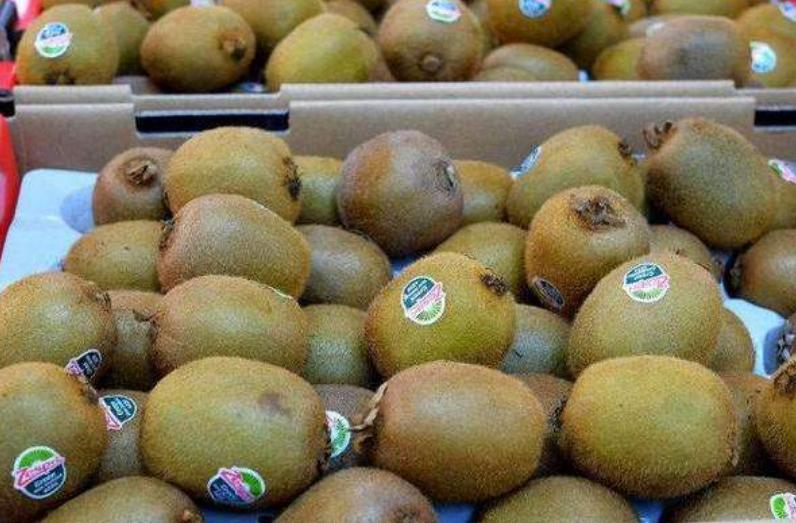 猕猴桃怎么快速变软能吃,猕猴桃硬果怎么吃法