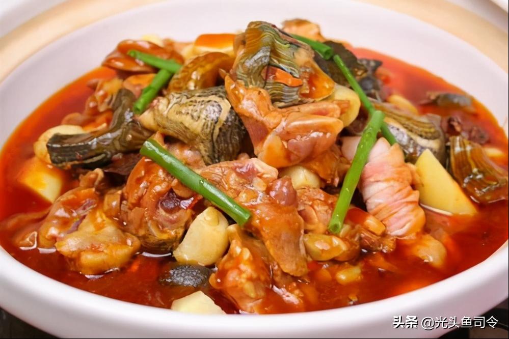 乌龟之殇完整版,乌龟之殇