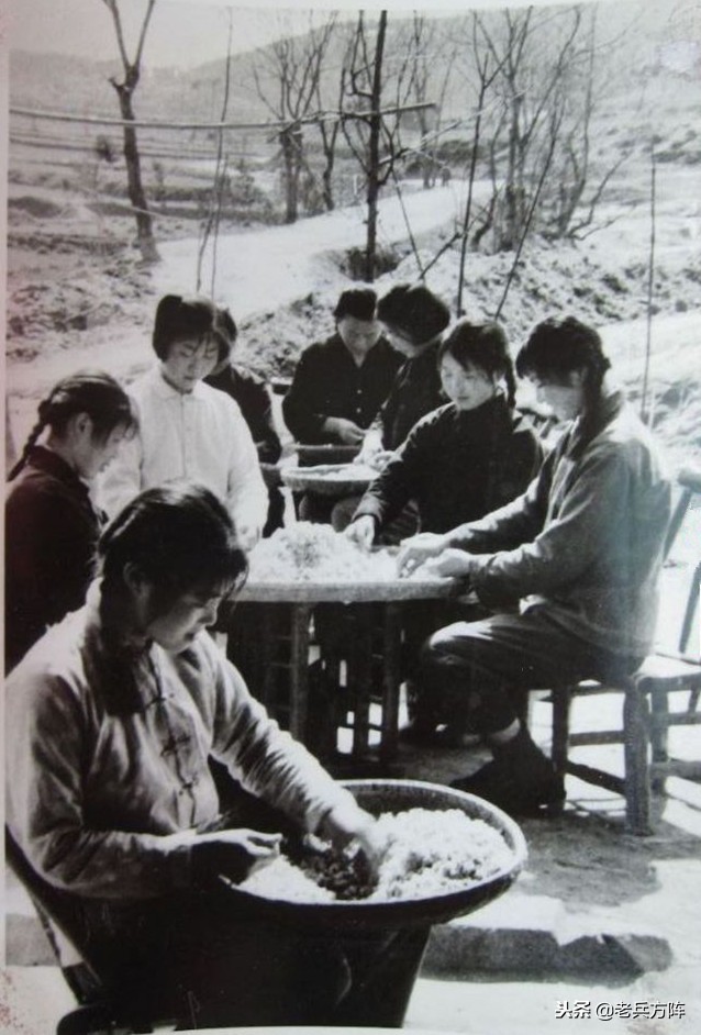 五十年代至七十年代人民公社,6070年代人民公社