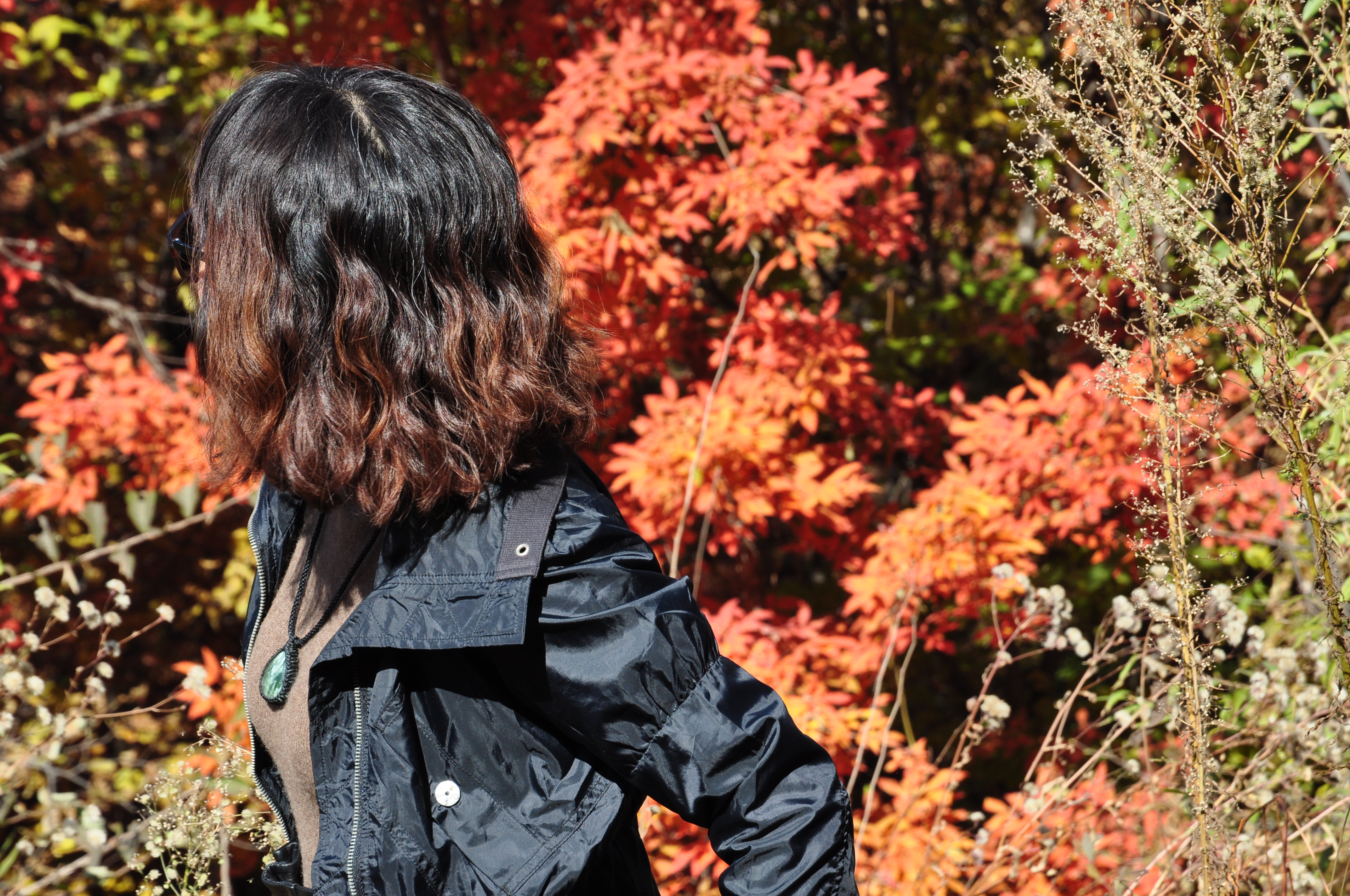 此时的辽宁不进景区照样处处风景，我带5位女同学野山里玩了一天