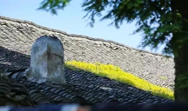 生活在宁波究竟幸福在哪,生活在慈溪真实感受