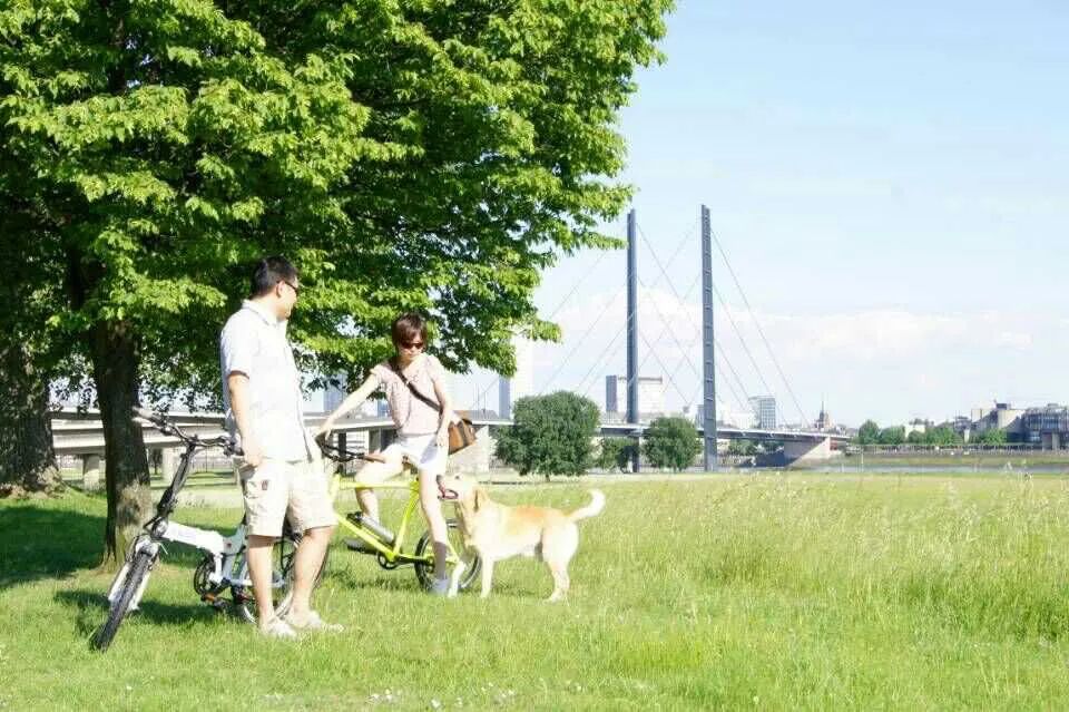 关于柏林墙你可能不知道的八件事,关于弗莱迪你不知道的十件事