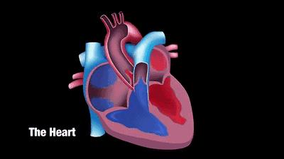 支架后病人还能活多久,支架手术后恢复锻炼分几级