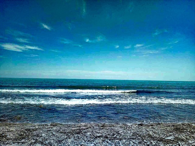 青海湖湟鱼洄游季直播,青海湖湟鱼洄游开幕式