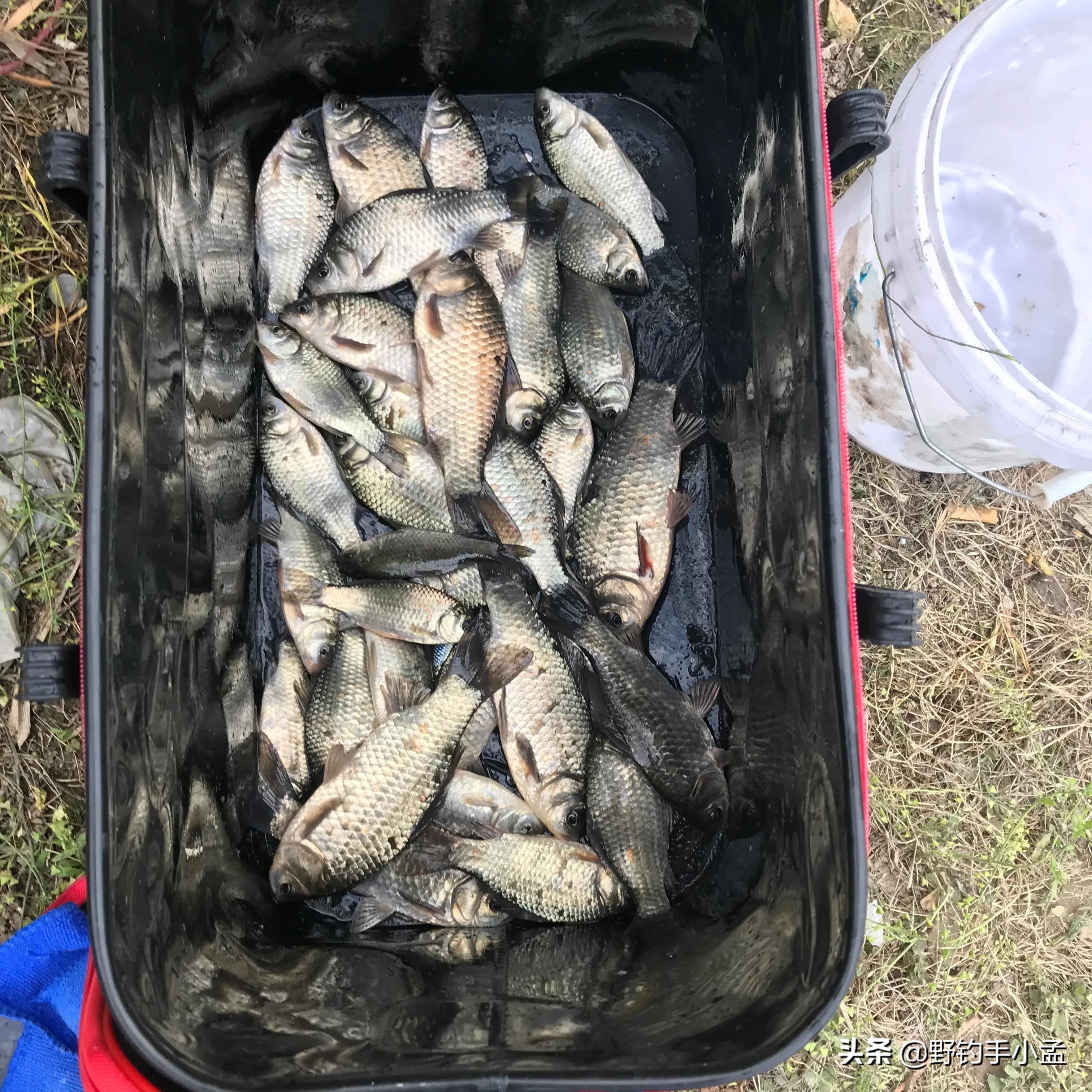 正确泡沫珠钓法图解,泡沫珠珠钓鱼方法