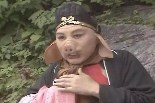 猪肉是怎么形成的,吃了那么多年的火腿肠你知道吗