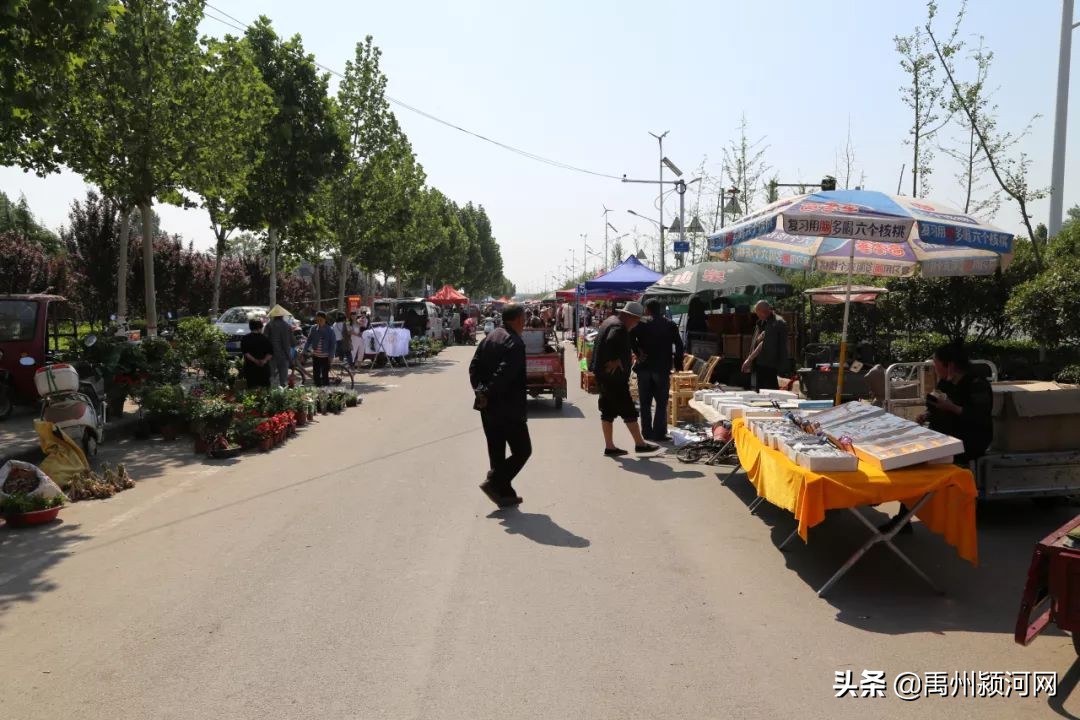 已经消失的乡镇,禹州各个乡镇