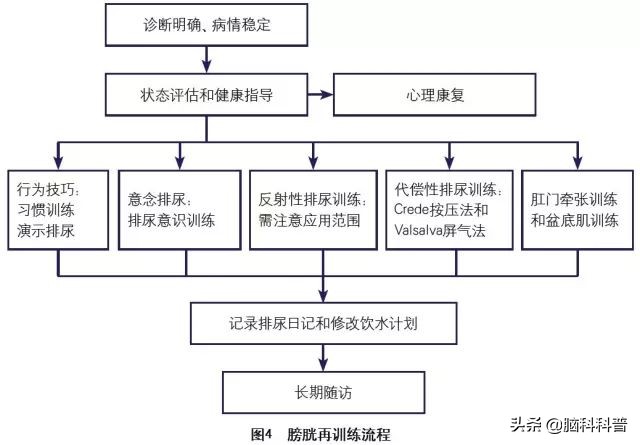 神经源性膀胱患者治愈采访,神经源性膀胱康复案例