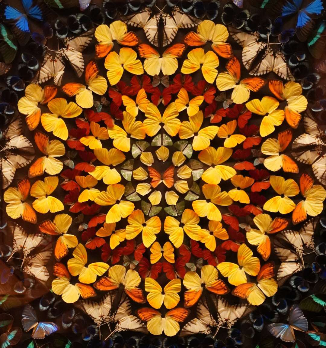 索尼微单6000与6100区别,索尼6100拍抖音评测