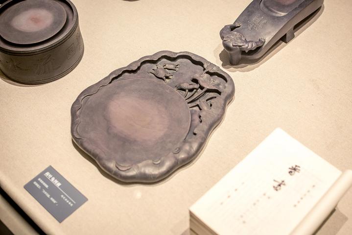 星湖冬日燃情，比落羽杉还要红的是什么？#我和湿地有个约会#