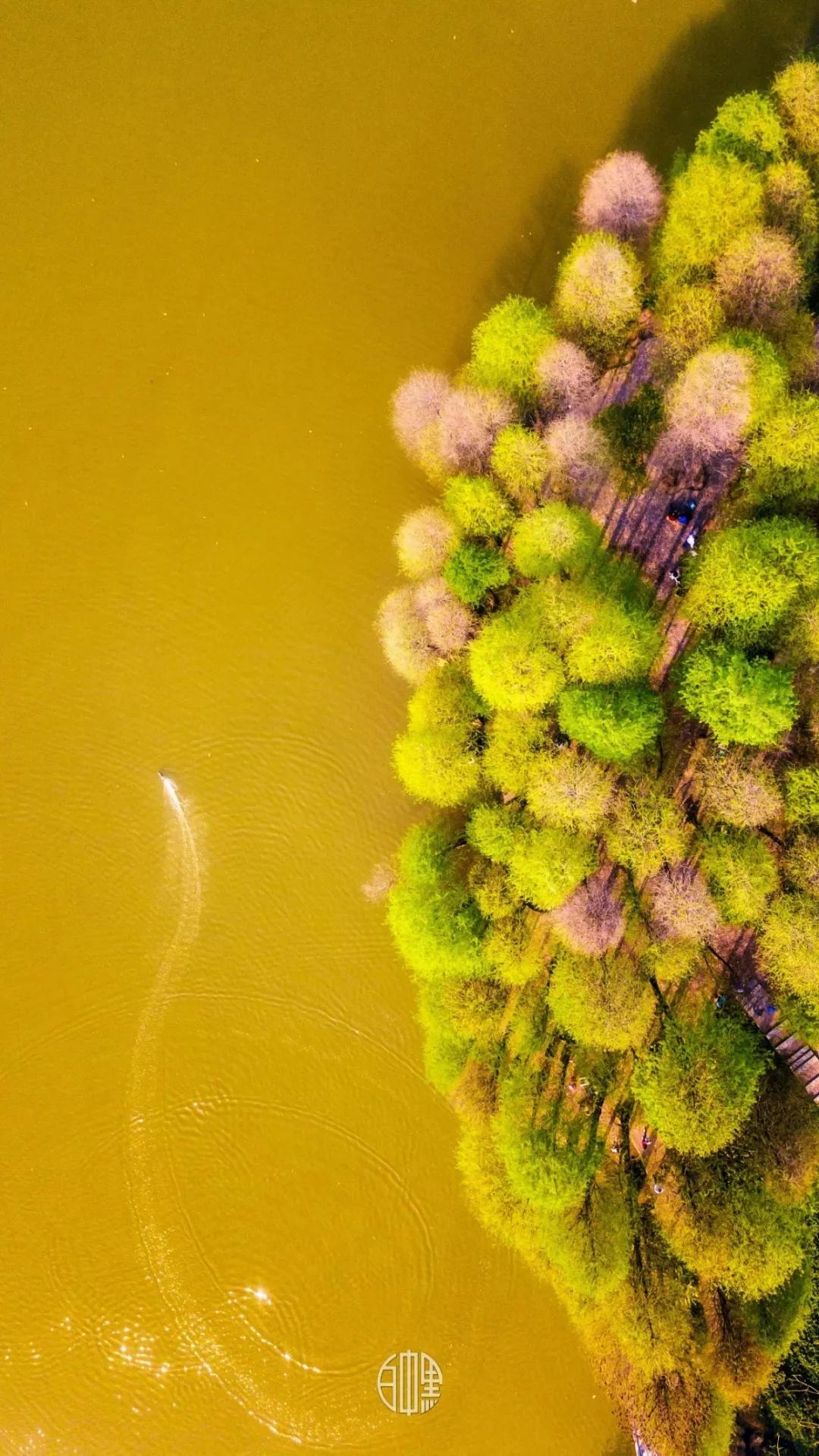 必打卡的宝藏公园,这些宝藏打卡地分分钟让人美到