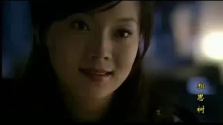 陈数与赵胤胤,陈数与赵胤胤门当户对