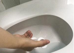 为什么日本人把厕所扔了,日本人为什么要扔卫生纸