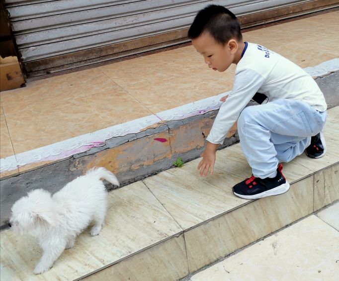 没啥资源的营山县靠什么营生？听小康说小康