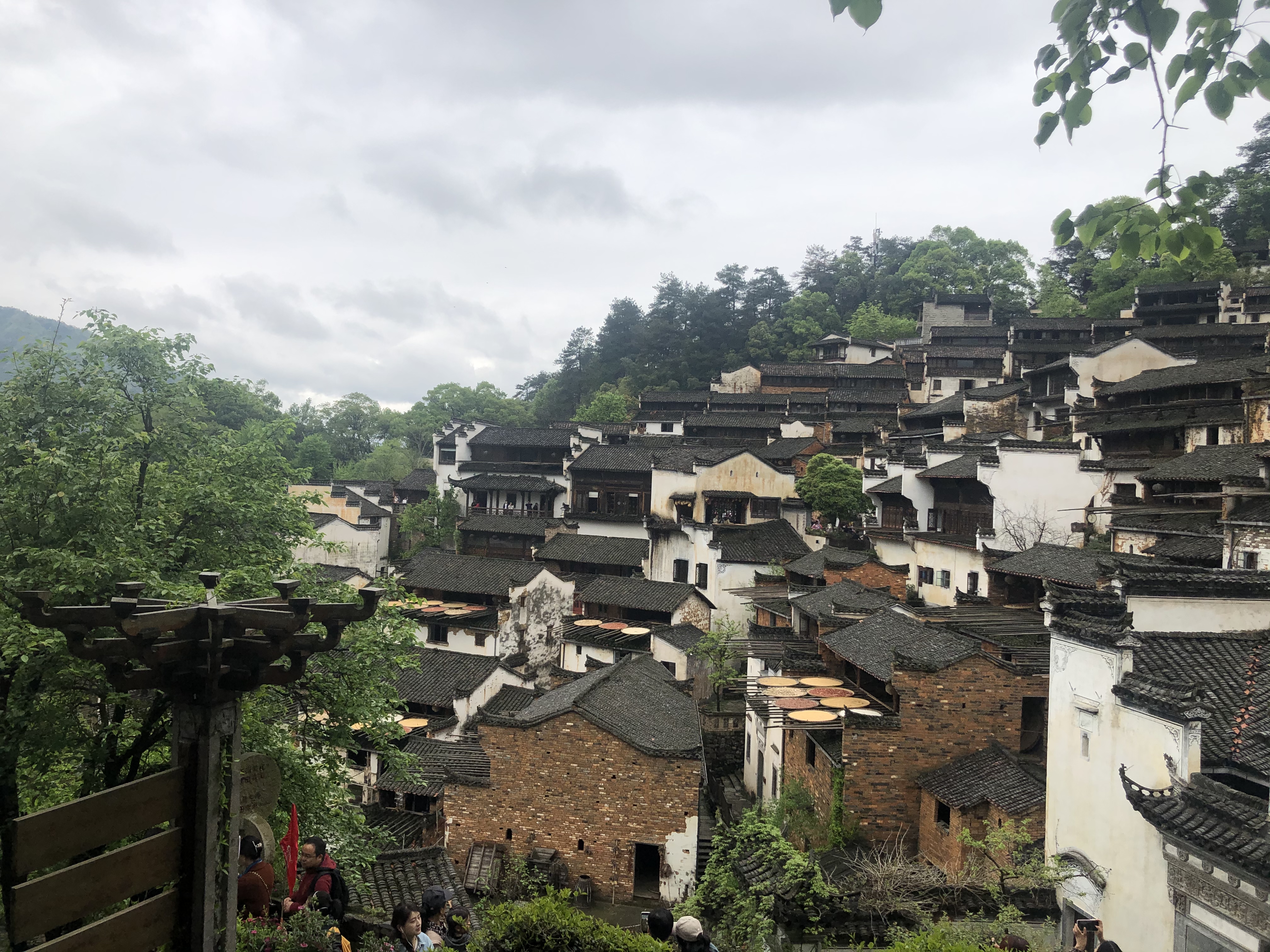 冬天婺源绝美旅游攻略,去婺源两天攻略