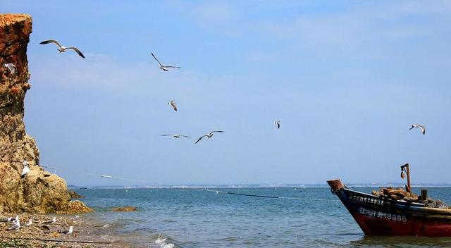 辽宁大连市城市排名,辽宁大连城市