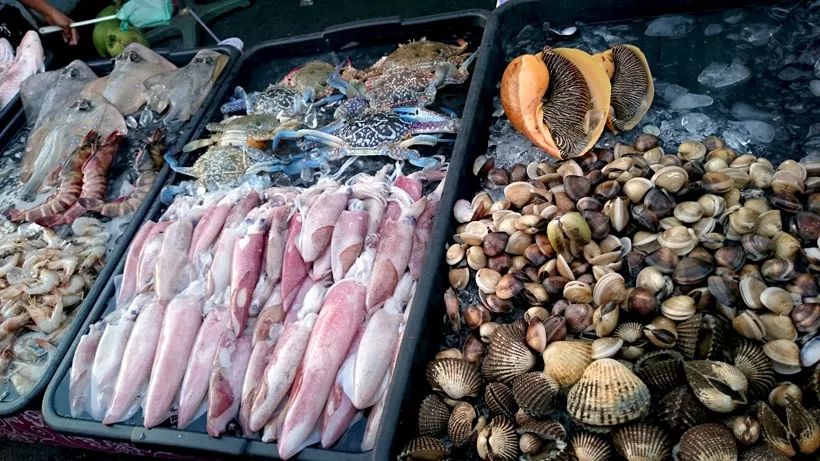 象拔蚌打捞,深海生猛龙虾象拔蚌四人海鲜大餐