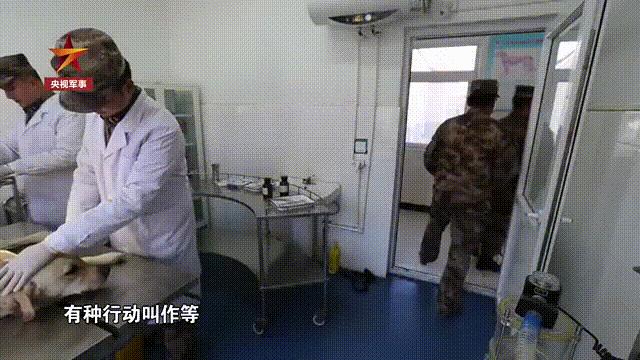 我们学会了告别却低估了思念,成长的第一步就是要学会告别