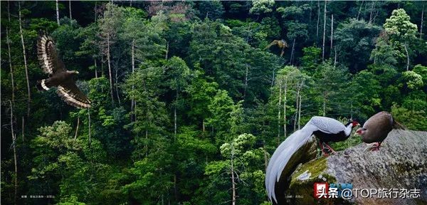 马云偷偷前往的浙西小城，居然藏着这么多“宝藏美景”！马爸爸的眼光居然这么独到吗……