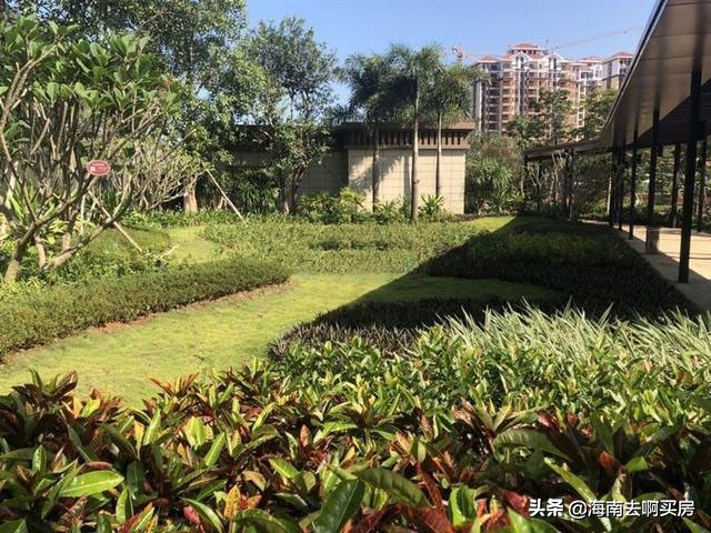 临高有哪些新楼盘,临高哪些楼盘值得购买