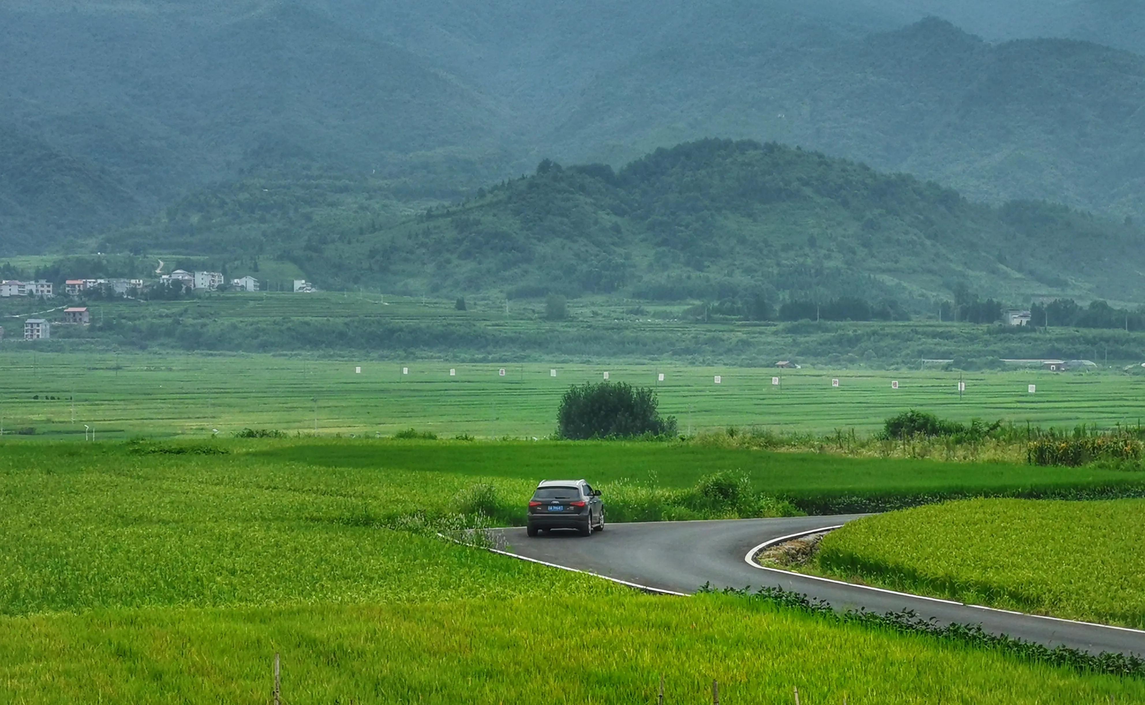 你会去莲花玩吗？我找到了3个“趣味点”，玩了一次跟着喜欢走