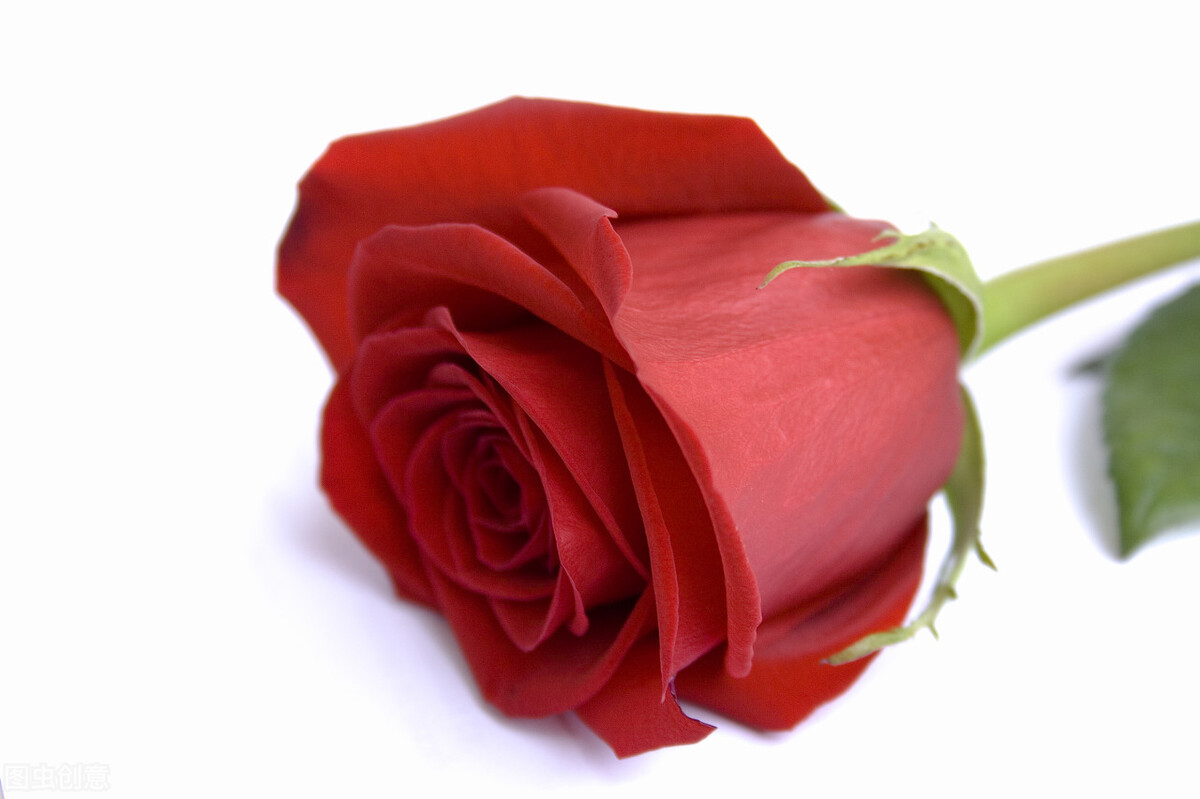 七夕节送女朋友礼物排名,送女朋友七夕礼物最有意义排行榜