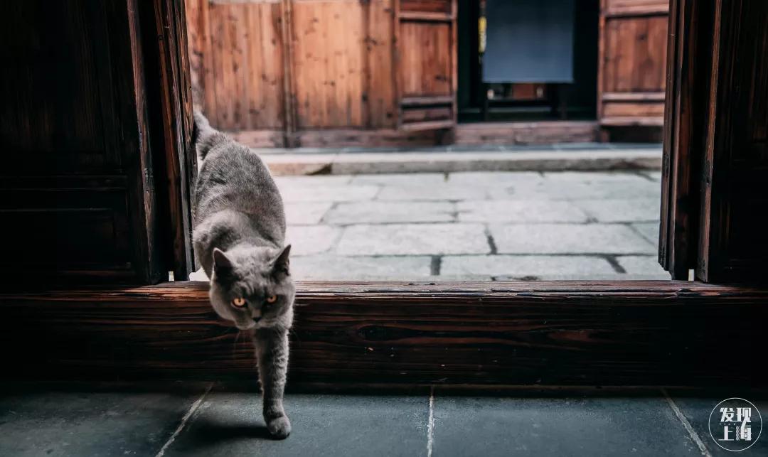 松江千年古镇,松江上海之源