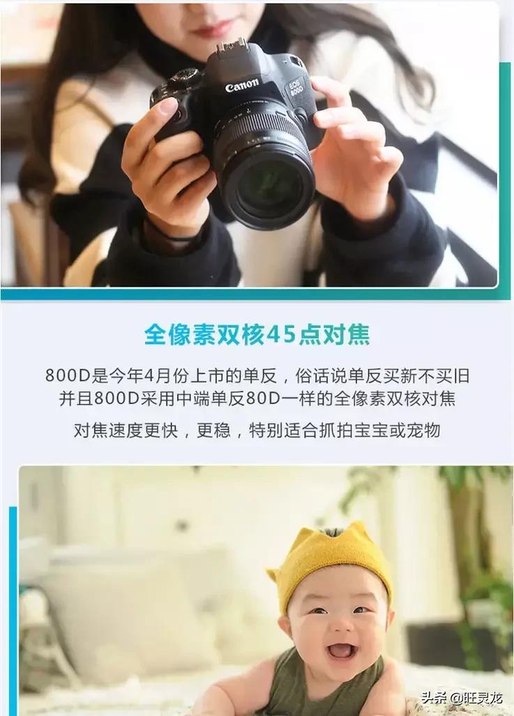 入门级单反佳能800d,摄影入门佳能800d怎么样