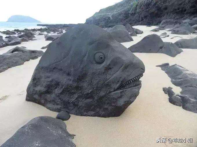 镇海角与火山岛旅游攻略，超详细，纯干货！