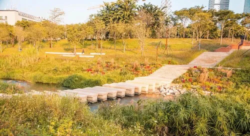 有哪些好玩的地方适合儿童深圳,深圳适合小朋友玩的8个免费景点