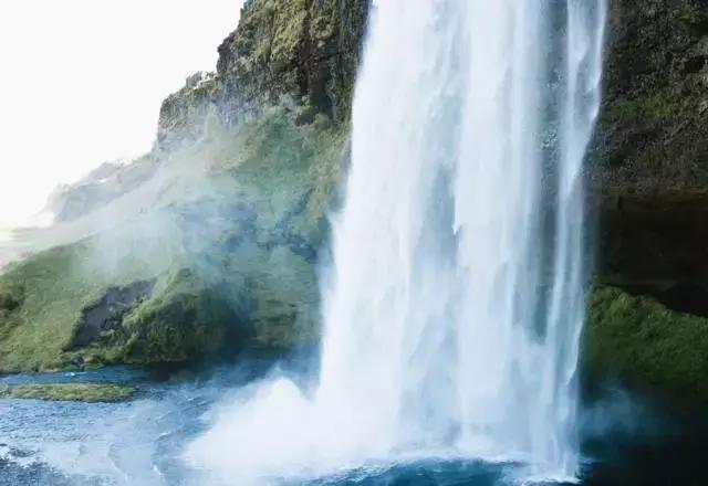 贝因美发家史,贝因美的兴衰与出路