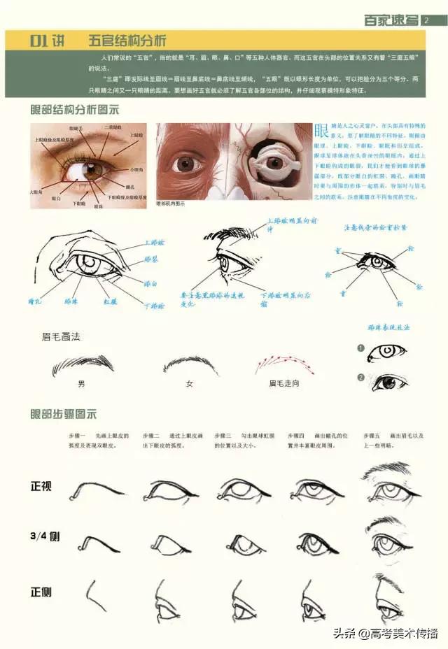 速写五官技法,速写五官的画法精讲