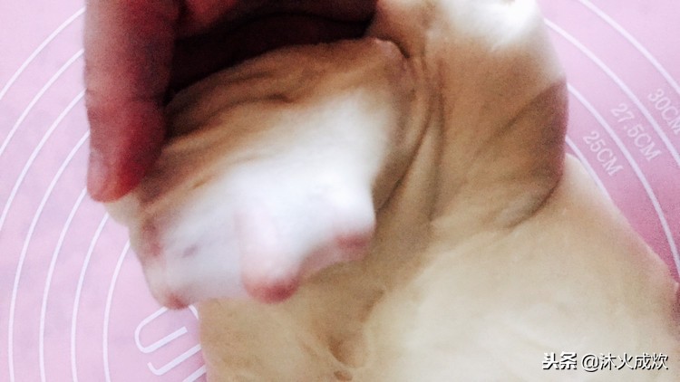 做面包发酵后的面团太湿了怎么办,做面包面团发过了有什么办法