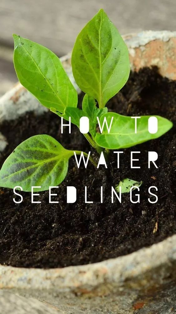 成为花艺师需要具备哪些条件,想当花艺师可以考什么学校