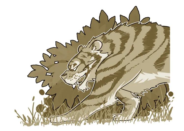 猩猩为什么战胜人类,人类与猩猩的祖先是一样的吗