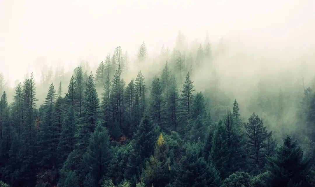 百能不锈钢整体厨房橱柜,百能不锈钢橱柜用的是环保胶水吗