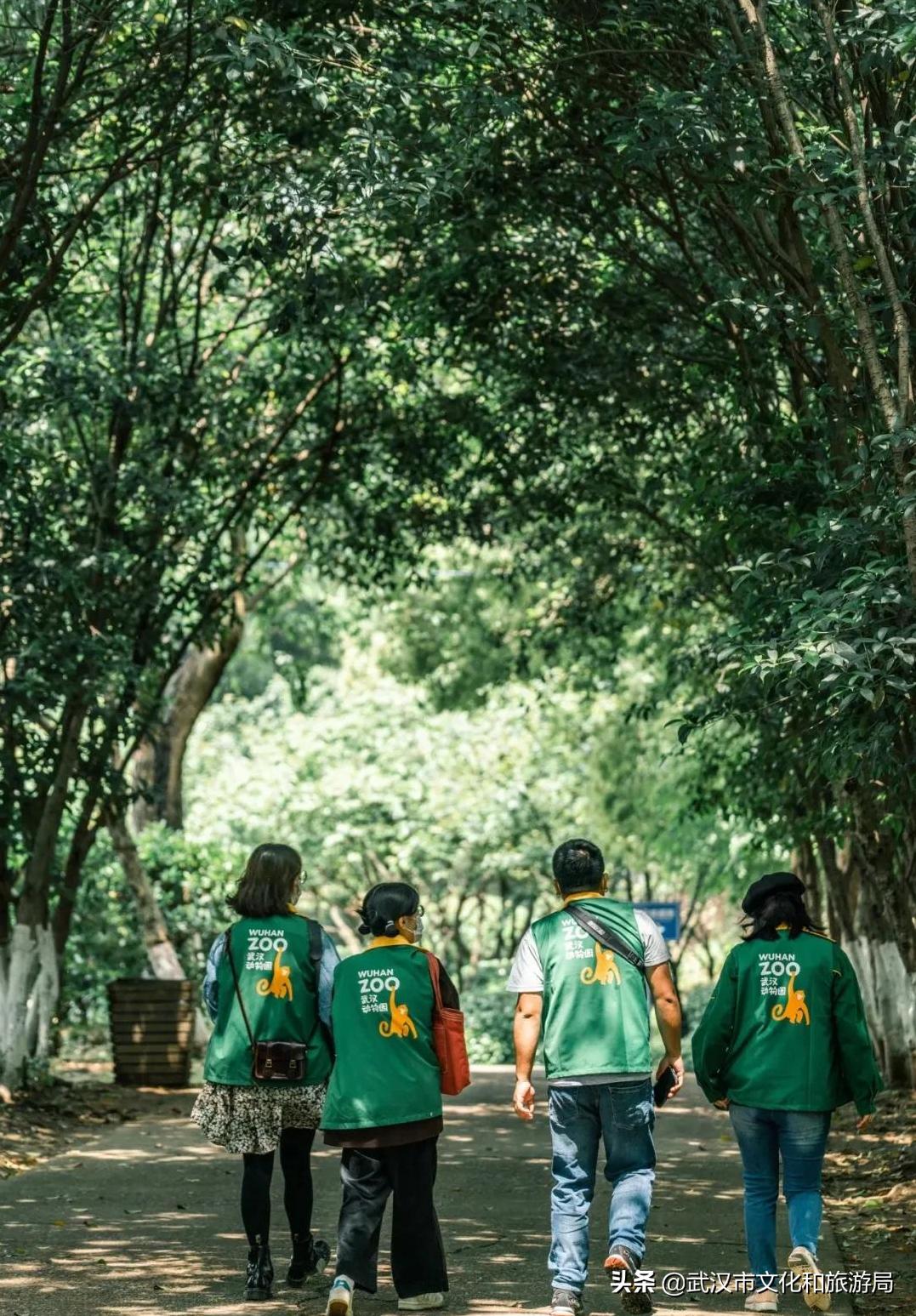 武汉动物园哪一个更好玩,九峰森林动物园与武汉动物园