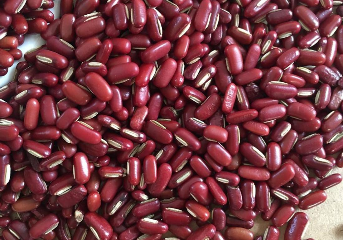 红小豆适合什么土壤种植,红小豆播种和管理