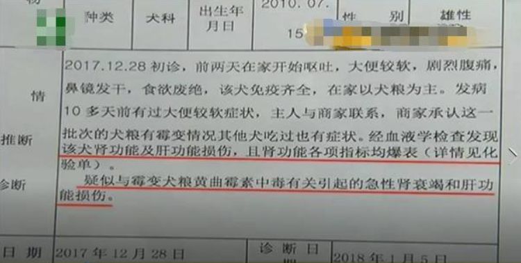 泰迪吃了发霉的狗粮不适怎么办,泰迪吃什么会导致肾衰竭