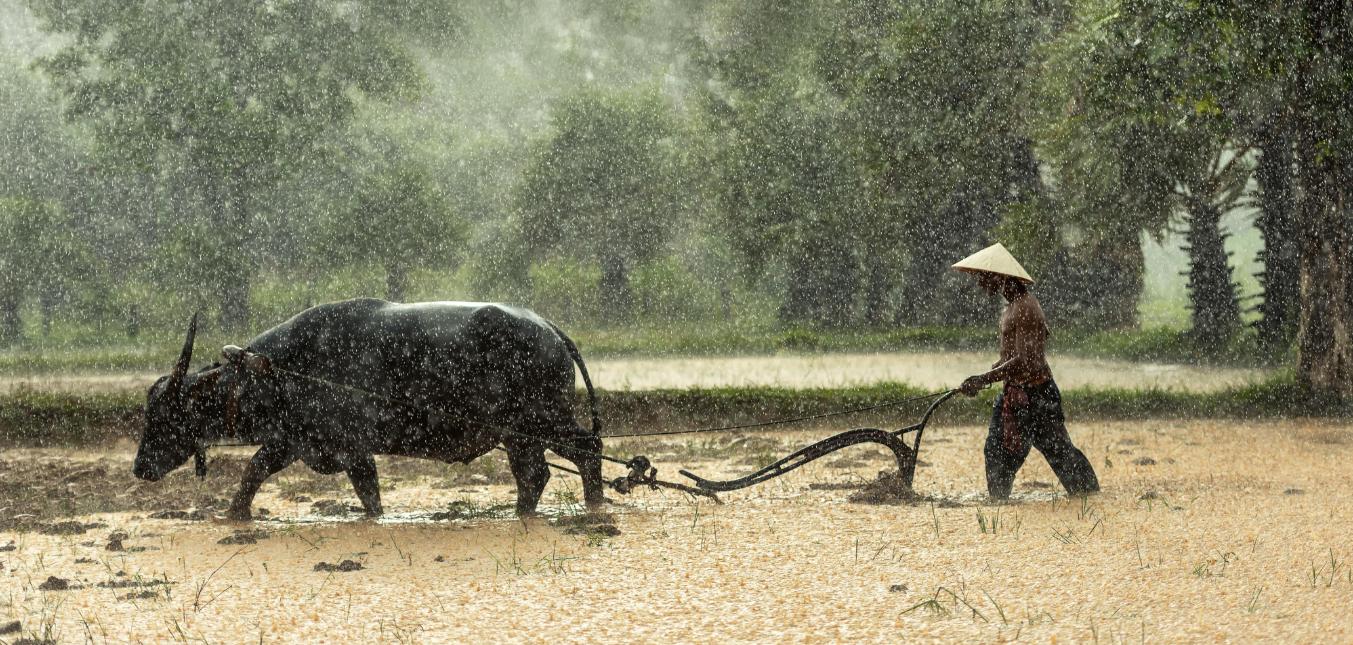 唐朝的文化与创新有哪些,唐朝土地制度