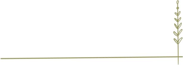 蒙自这里汇聚上千人，放飞上百只鸽子，是发生了什么大事……